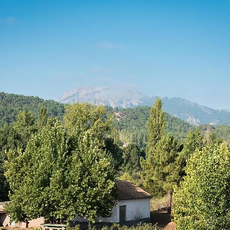 Casa Amparo Villa Riópar Kültér fotó